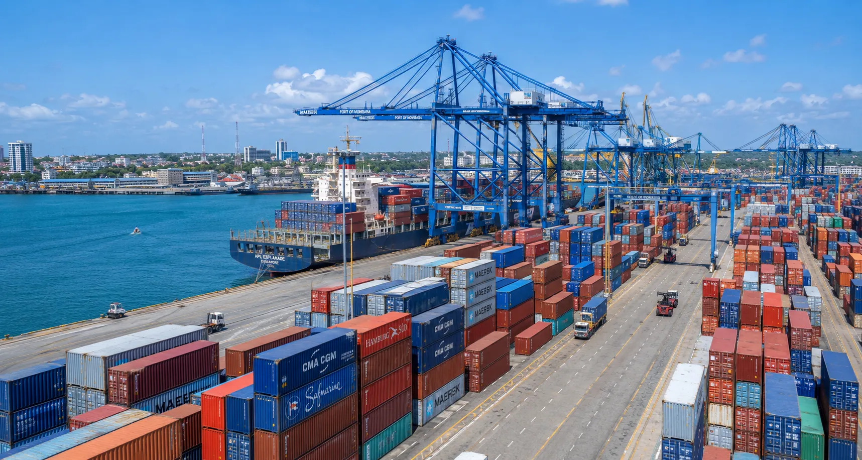 Naledi Cargo and Logistics clearing containers at the port